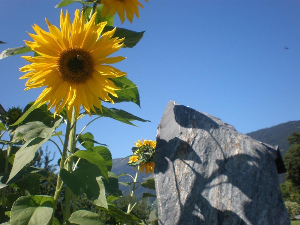 Séjour à la ferme Oberhaslinghof Saalfelden