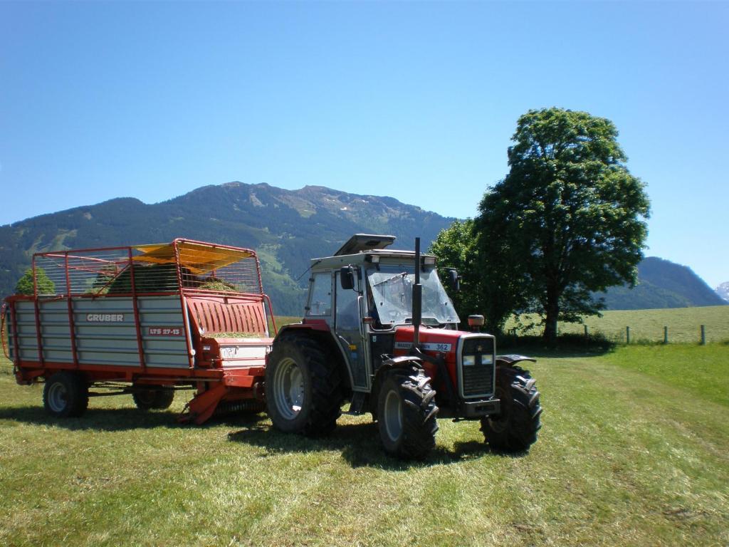 Oberhaslinghof Séjour à la ferme Saalfelden